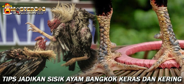 Tips Jadikan Sisik Ayam Bangkok Keras Dan Kering